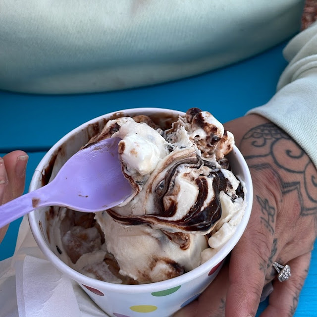 Sea Turtle Ice Cream