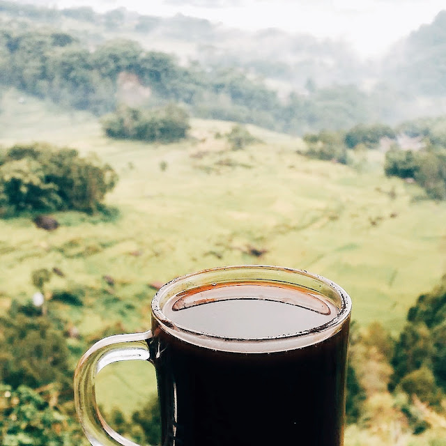 Kopi Toraja
