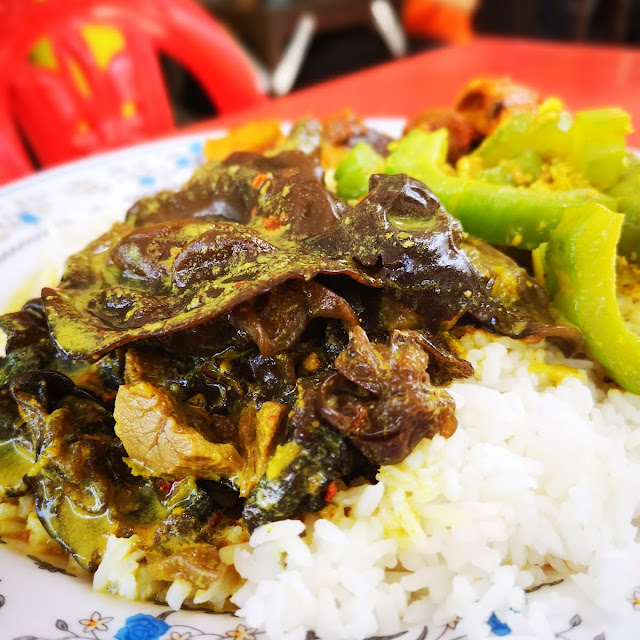 Cendawan Masak Lomak