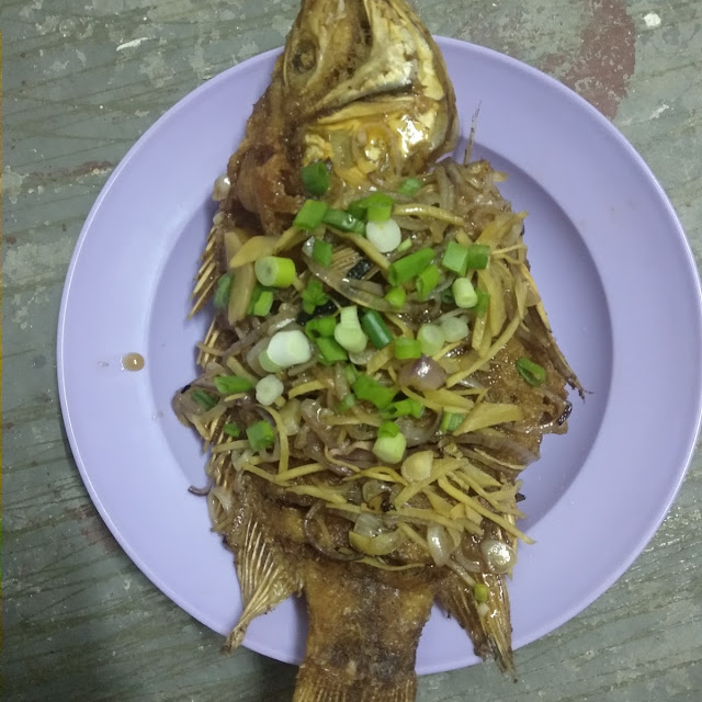 Malaysia Fry Fish Sandwich