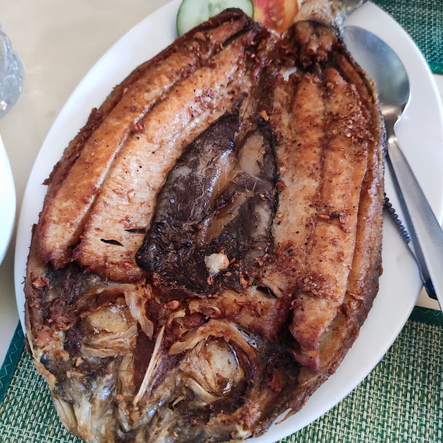 Bangus