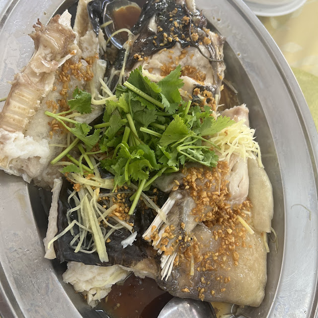 念鱼头