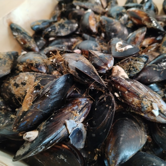 Moules Au Détail