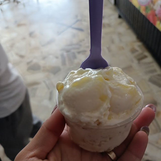 Helado de Coco Con Mermelada de Piña