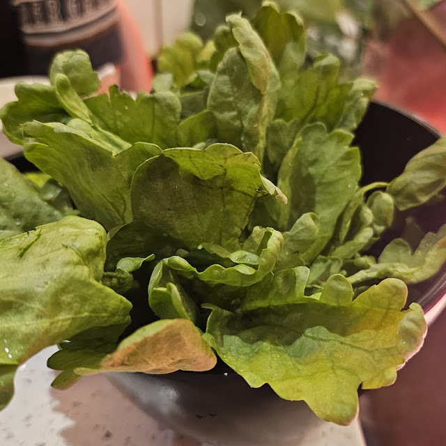 Vegetables
