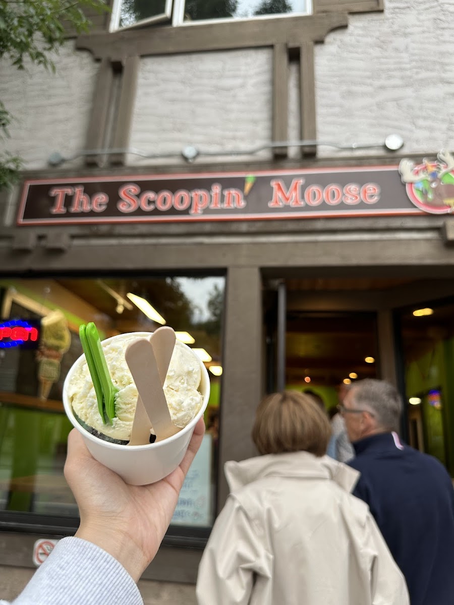 The Scoopin' Moose