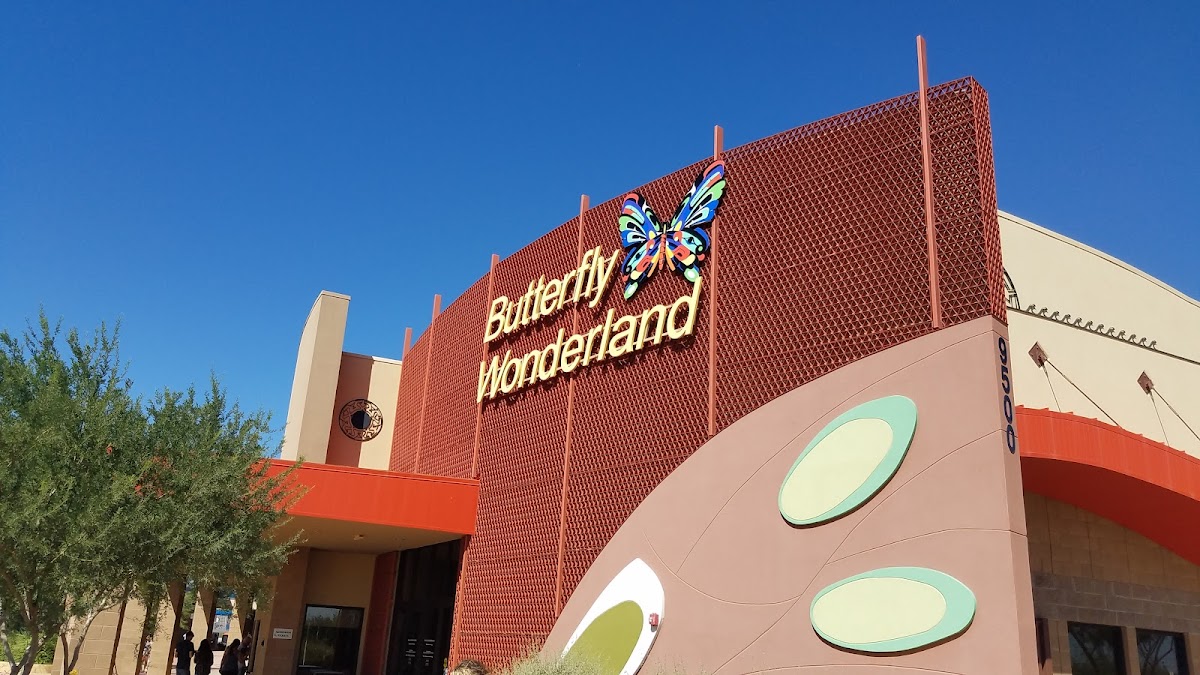Butterfly Cafe
