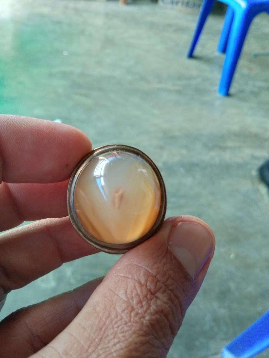 Palanta Mama Jhon
