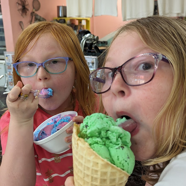 Mint Chocolate Chip Ice Cream