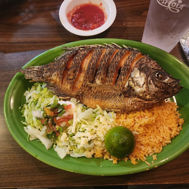 Tilapia