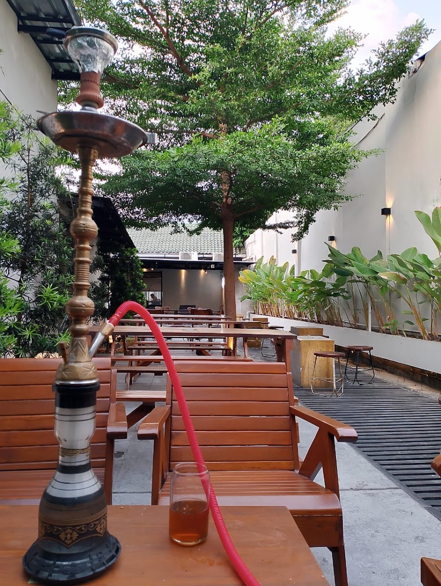 Shisha Solo