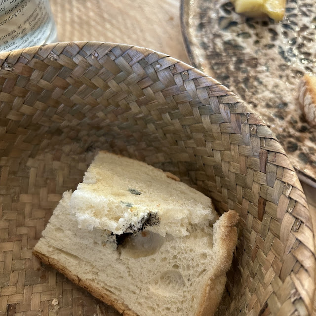 Pan Con Moho