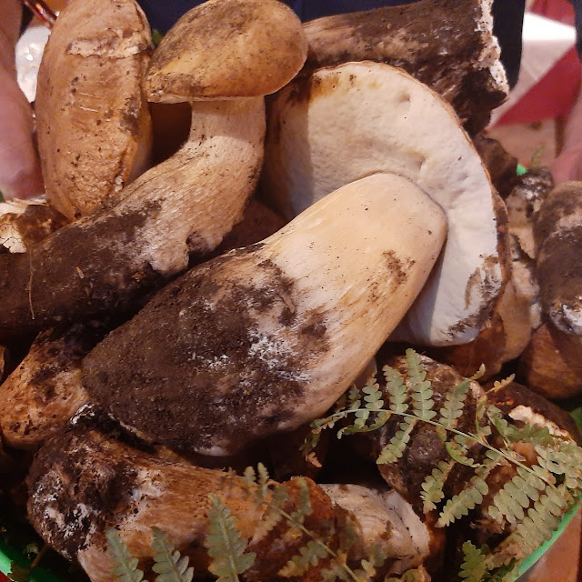 Puccini Mushrooms