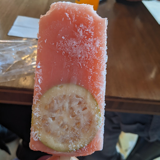 Guava Paleta