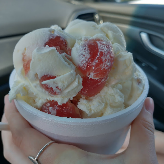 A Single Scoop of Vanilla Cherry Ice Cream