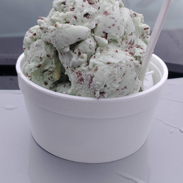 Small Mint Chip Ice Cream