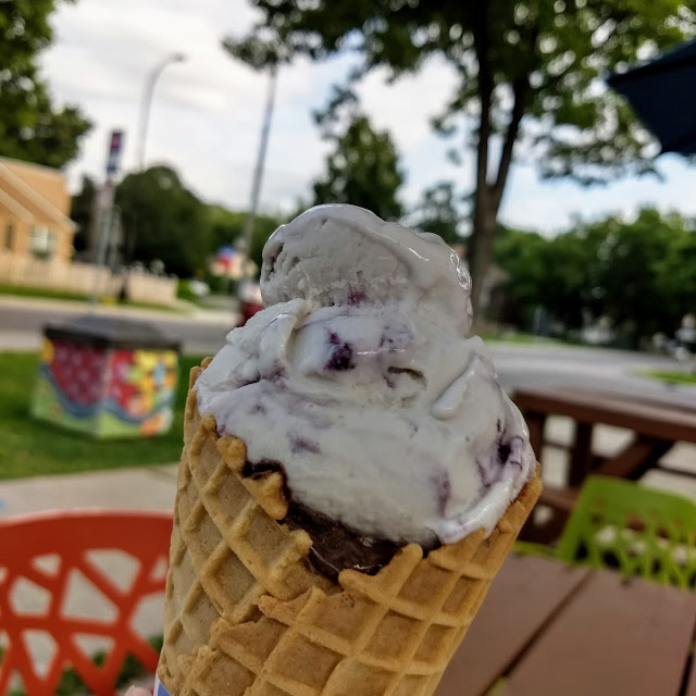 Blueberry and Zoreo