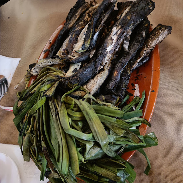 Calçots
