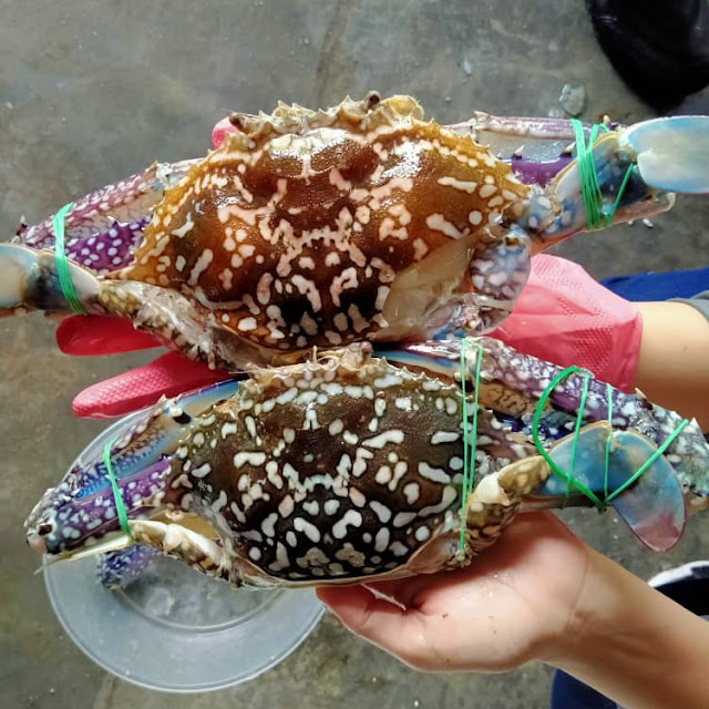 Ketam
