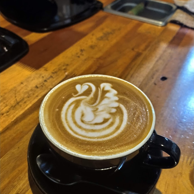 Caffe Latte Hoot