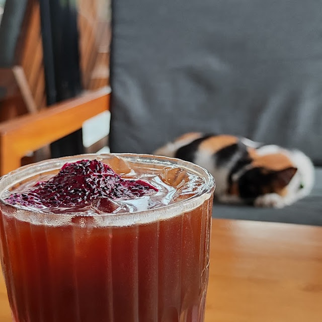 Iced Americano Blackcurrant