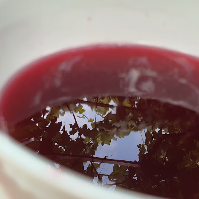 Vino Tinto