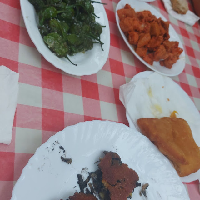 Pimientos de Padrón Tortilla Empanados