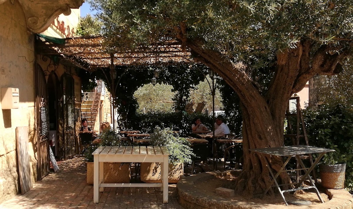 La Treille de l'Abbé