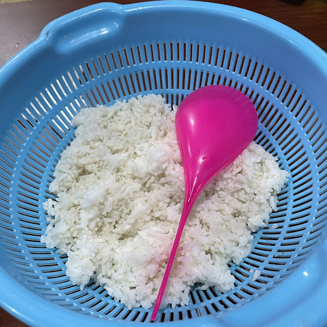 Nasi Putih