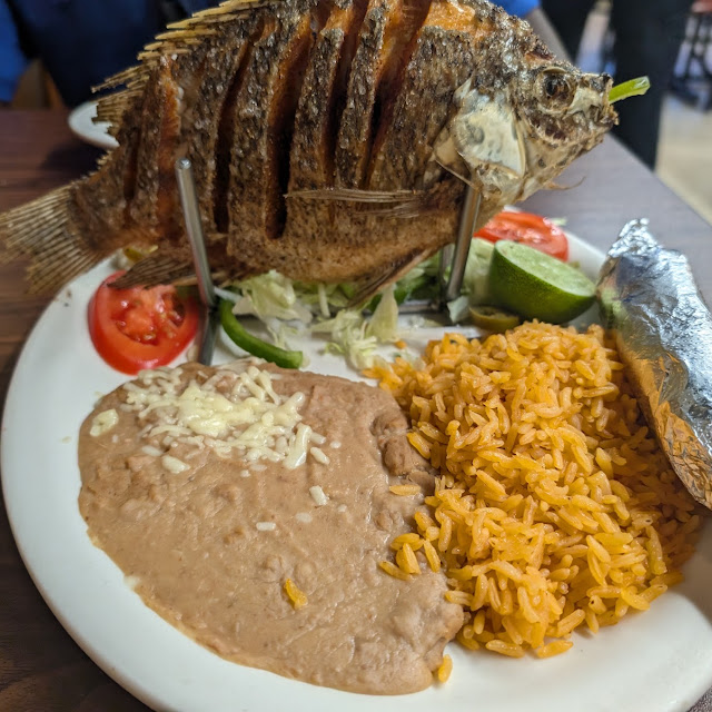 Tilapia