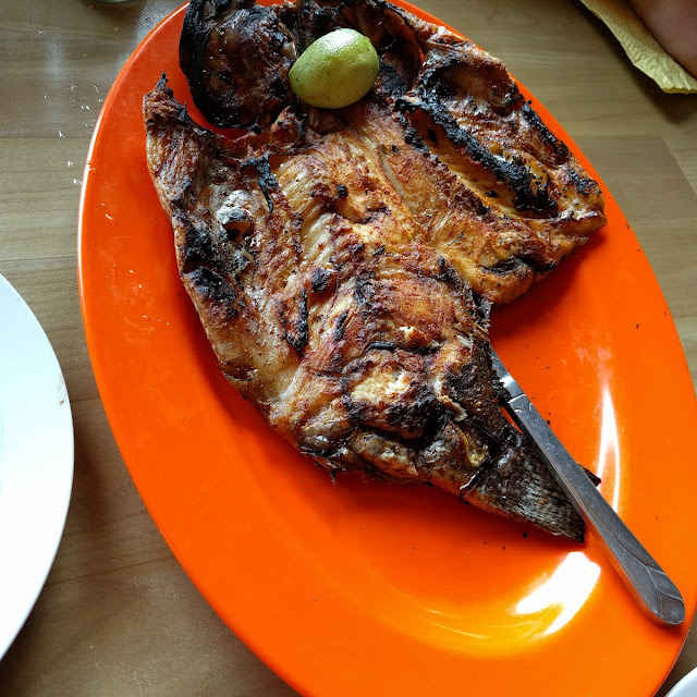 Grilled Fish