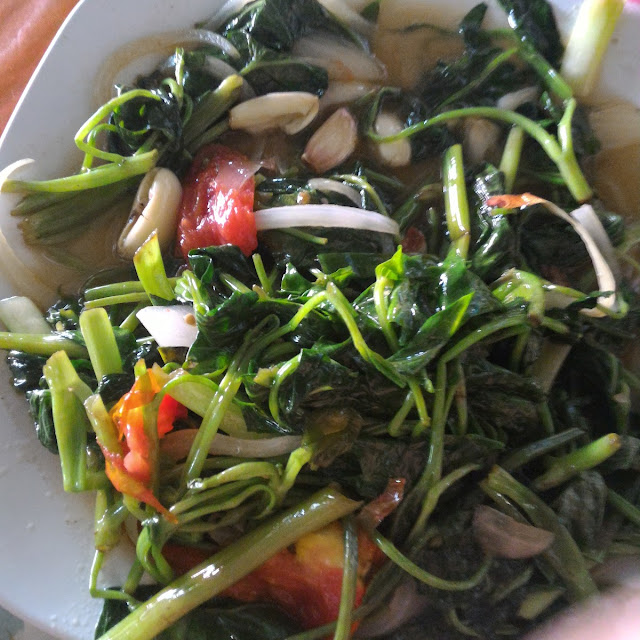 Kangkung CAH