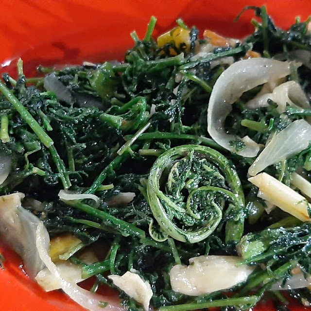 Pucuk Labu CAH
