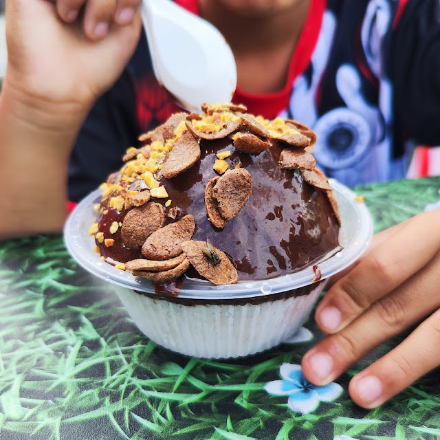 AIS Kepal Cokelat