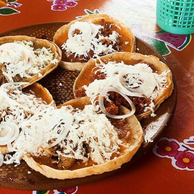 Enchiladas de Mole Y Vedes