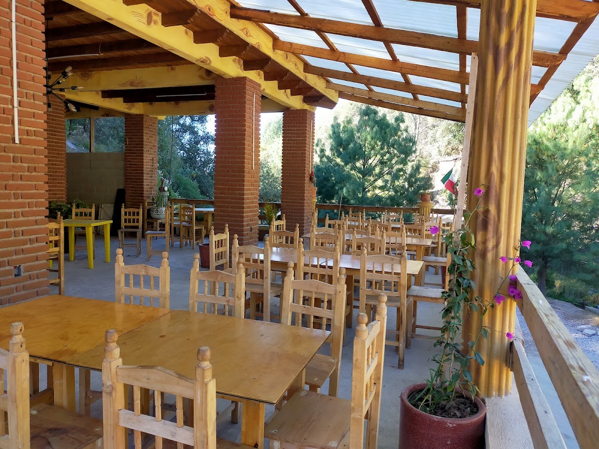 Criadero de truchas el tepozan los acuarios