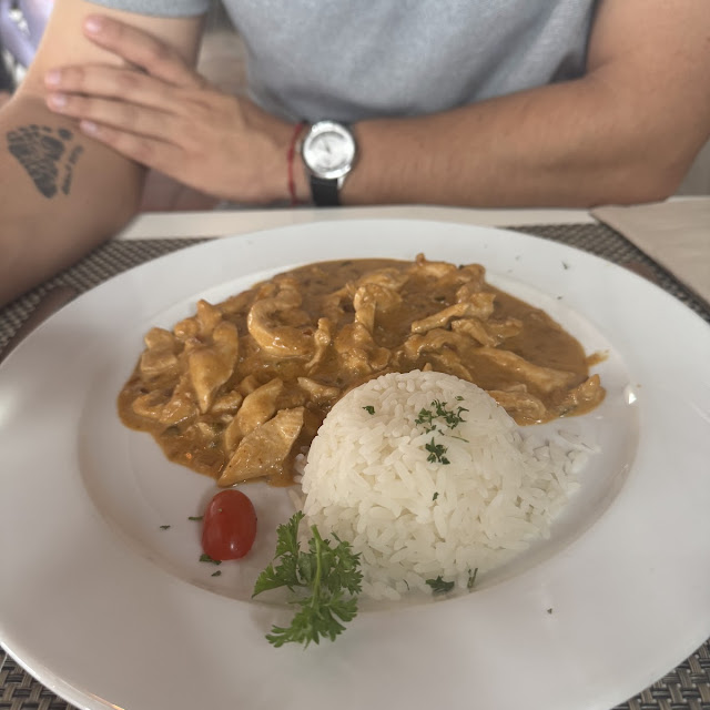 Strogonoff de Pollo