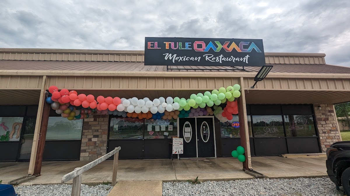 El Tule Oaxaca