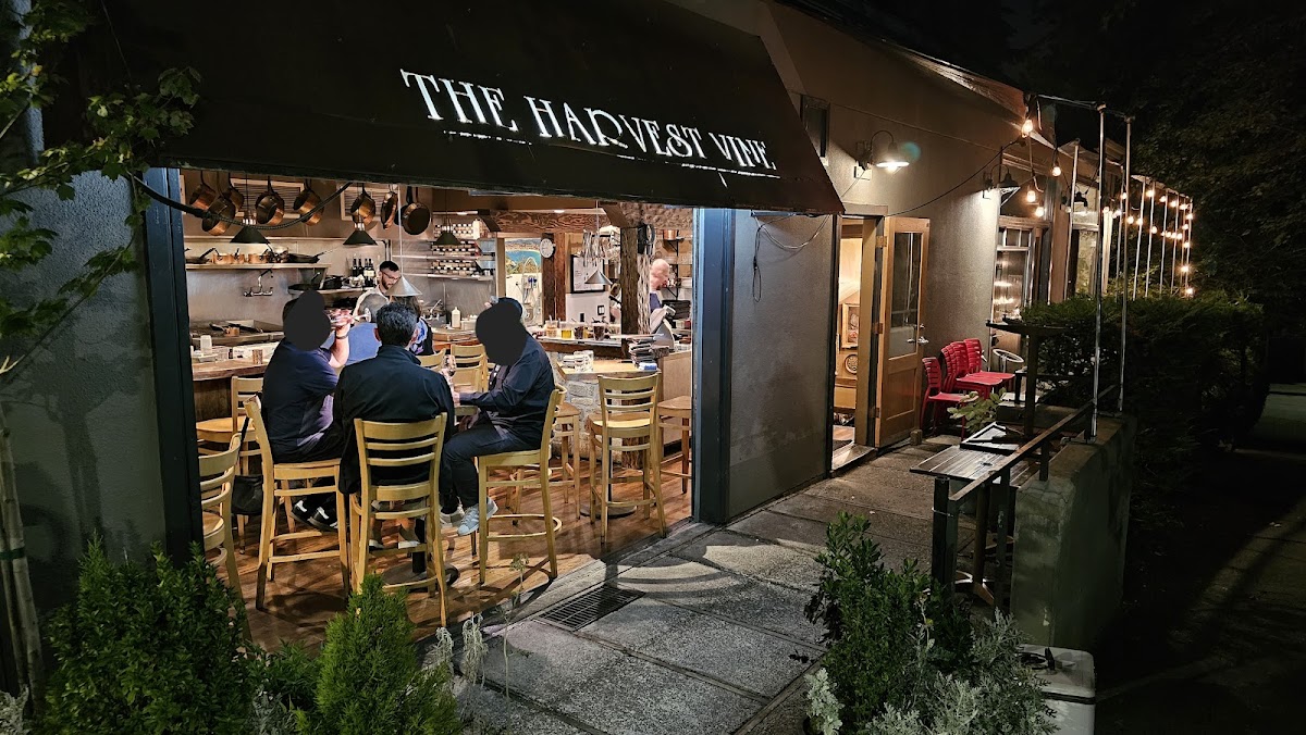 The Harvest Vine