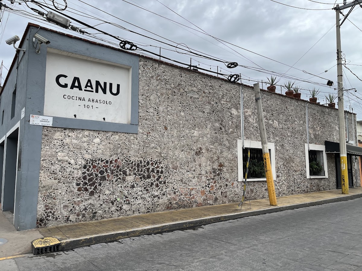Gaánu cocina Abasolo 101