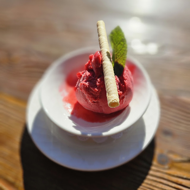 Sorbet Artisanal Framboise