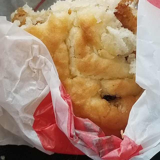 Breakfast Chicken Biscuit with a Fly Embedded in the Biscuit and Served to Me That Way Gross