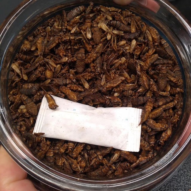 Chapulines
