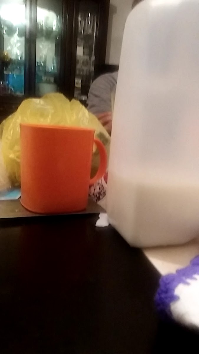 Cocina Económica