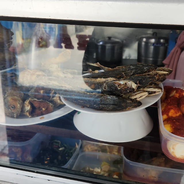 Ikan Kembung