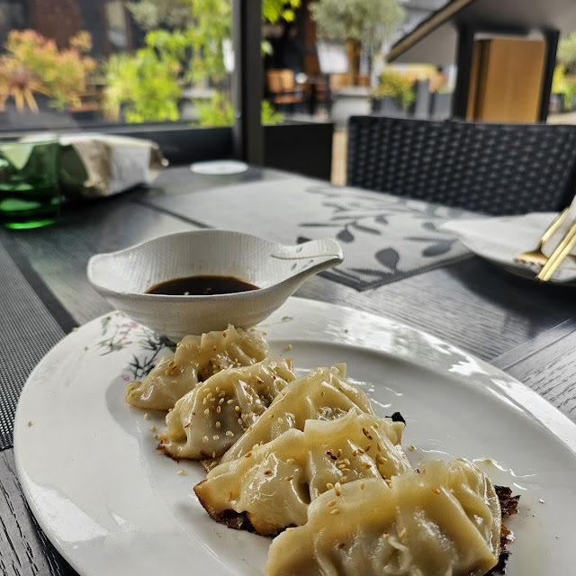 Piletina Gyoza