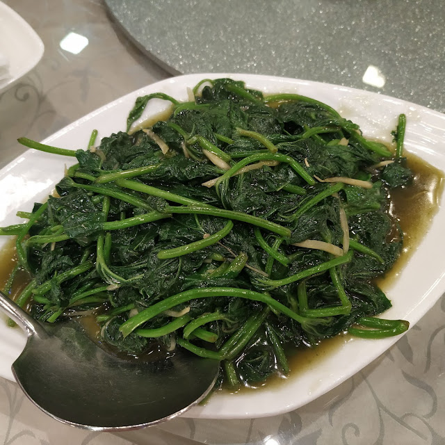 番薯苗
