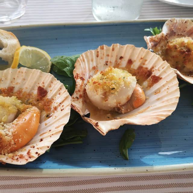 Scallops Au Gratin