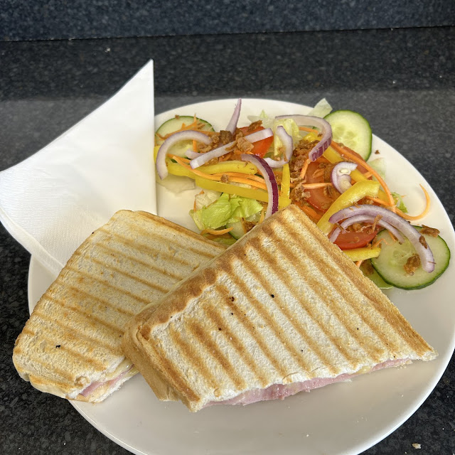 Panini