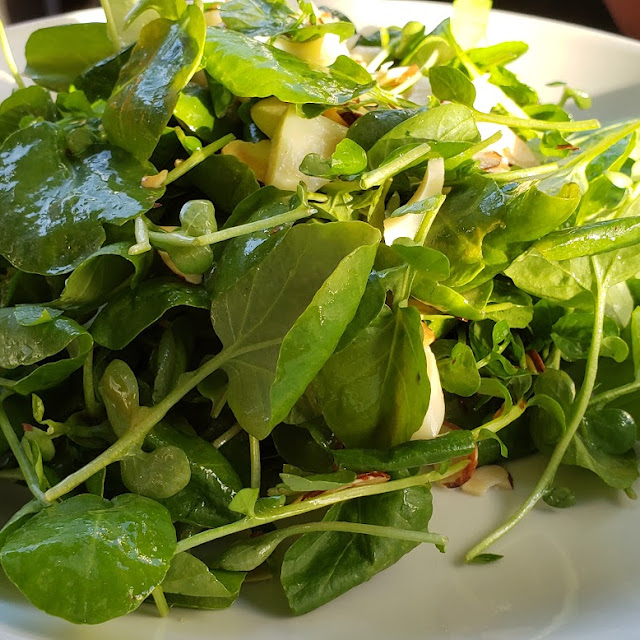 Insalata Arugula & Mizuna